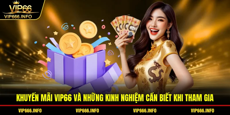 Khuyến mãi VIP66 và những kinh nghiệm cần biết khi tham gia